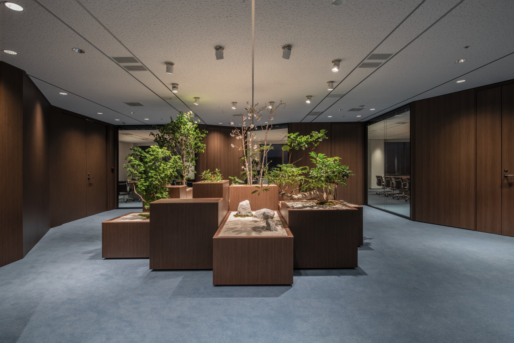 CVC Office
