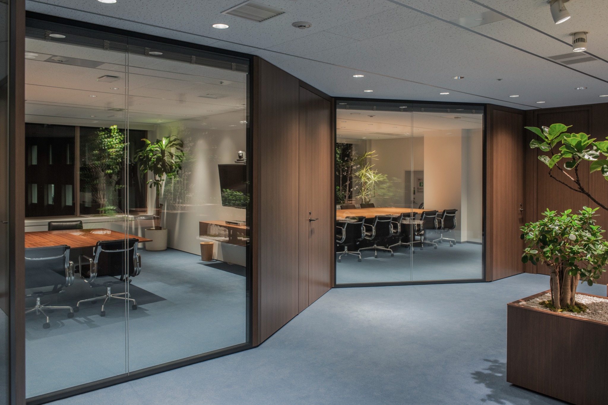 CVC Office