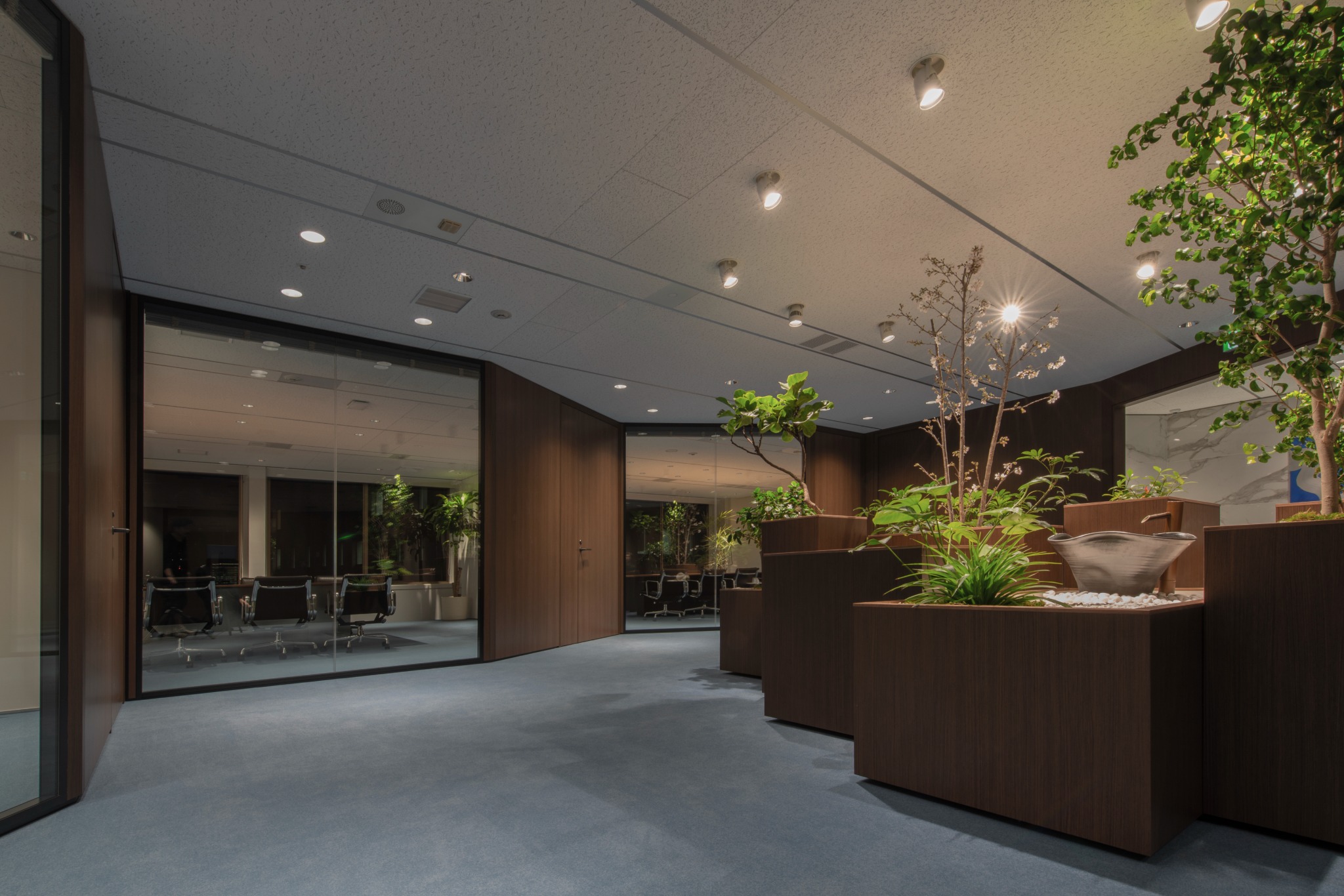 CVC Office