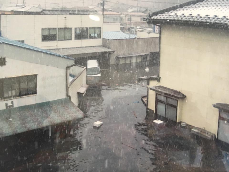 Fish Factory in Ishinomaki